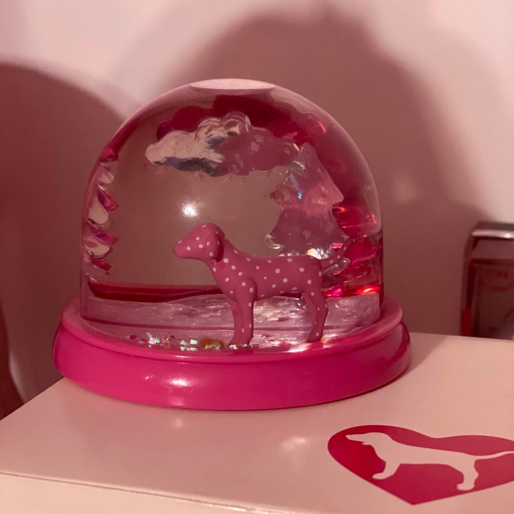 Victoria’s Secret PINK Globe